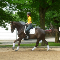 Flynn in motion